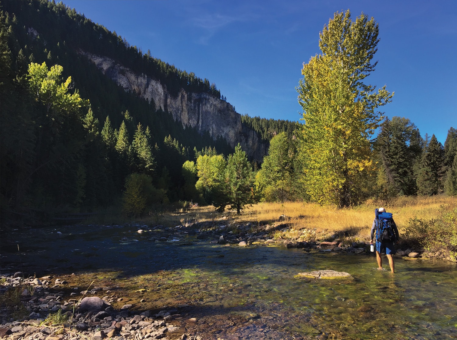 Fall Fishing on the Tenderfoot