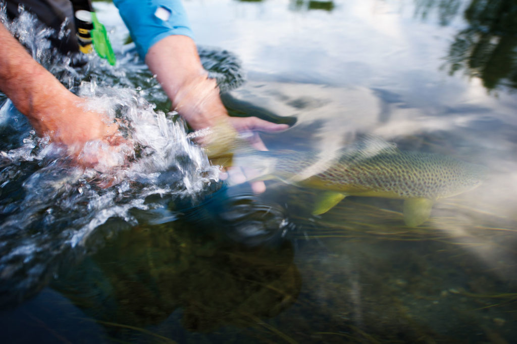 Peace, Love, and Fly Fishing - Big Sky Journal