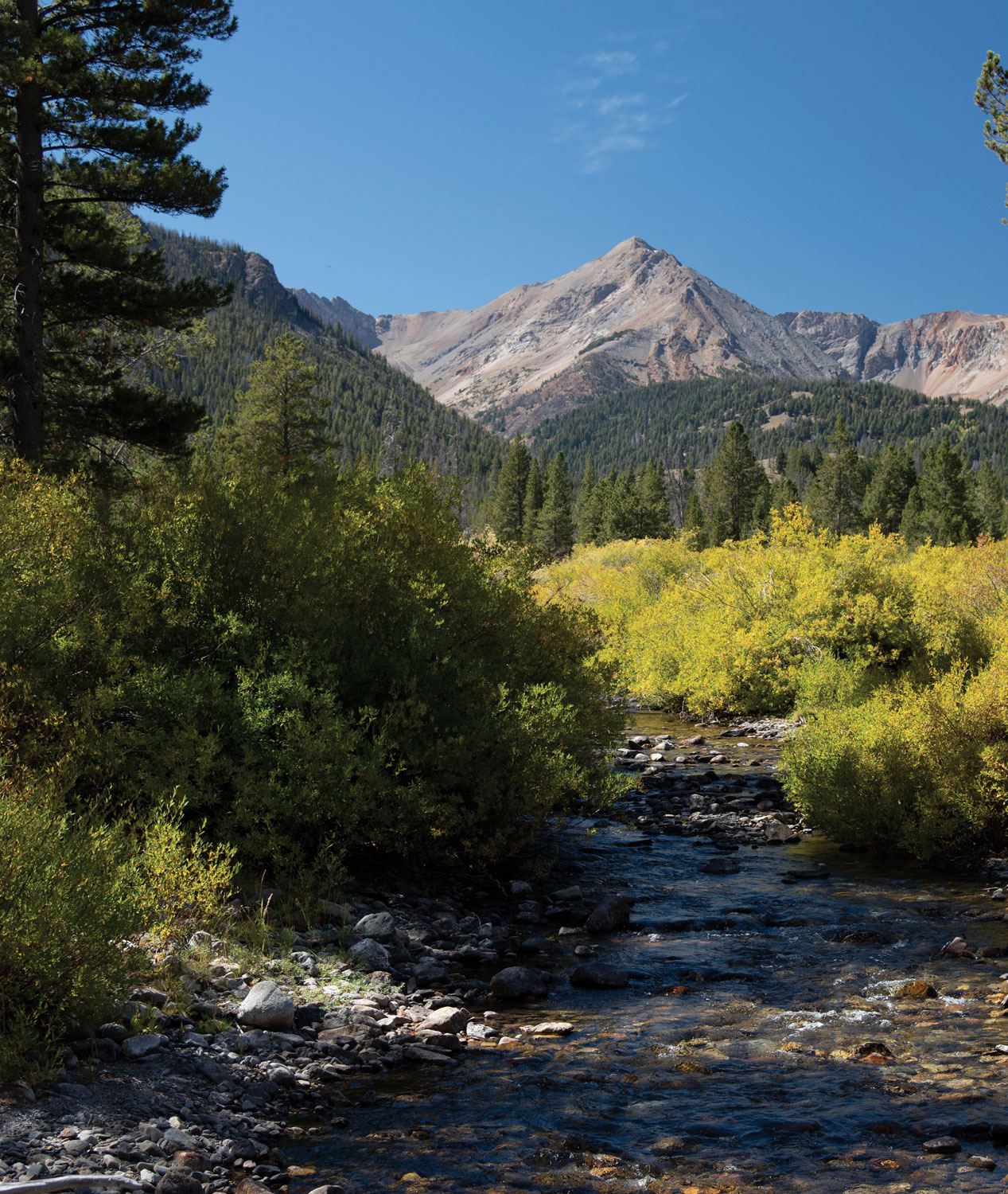 Idaho's Mysterious Disappearing Trout Streams - Big Sky Journal