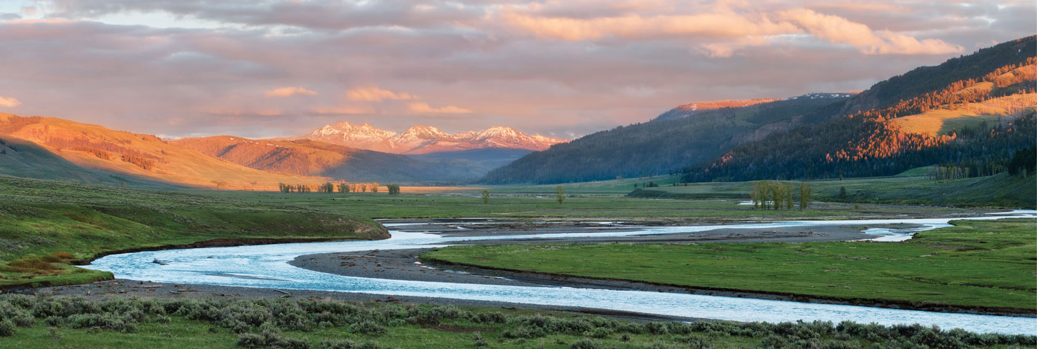 Lamar river shop trail yellowstone