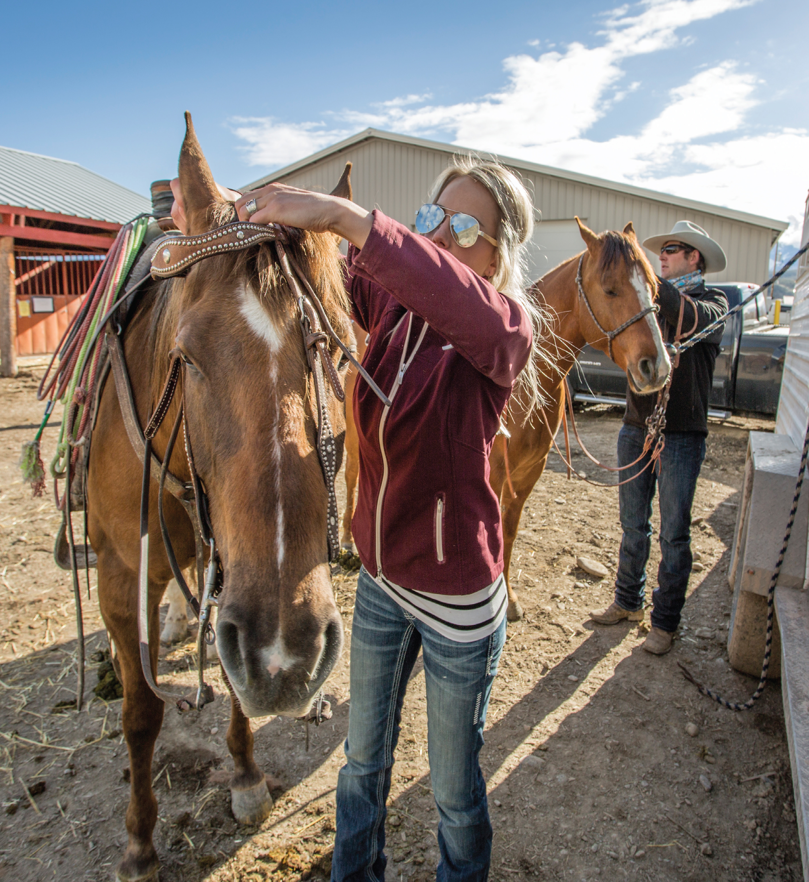 Horses bred in the wild are rodeo naturals, Lifestyles