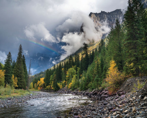 The Birthplace of Public Lands: Rivals John Muir & Gifford Pinchot ...