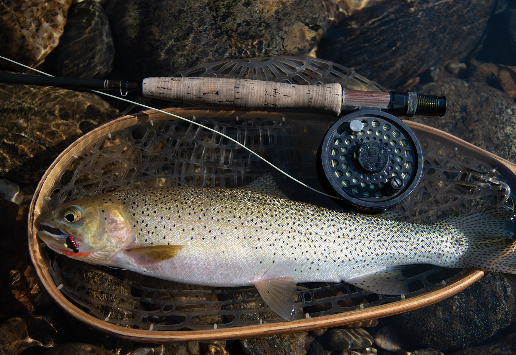 Fly Fishing the Outlaw Trail - Big Sky Journal