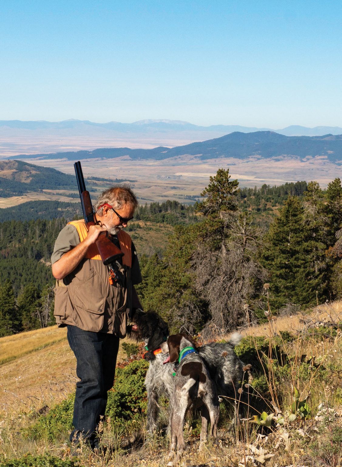 The Woods are Lovely - Big Sky Journal