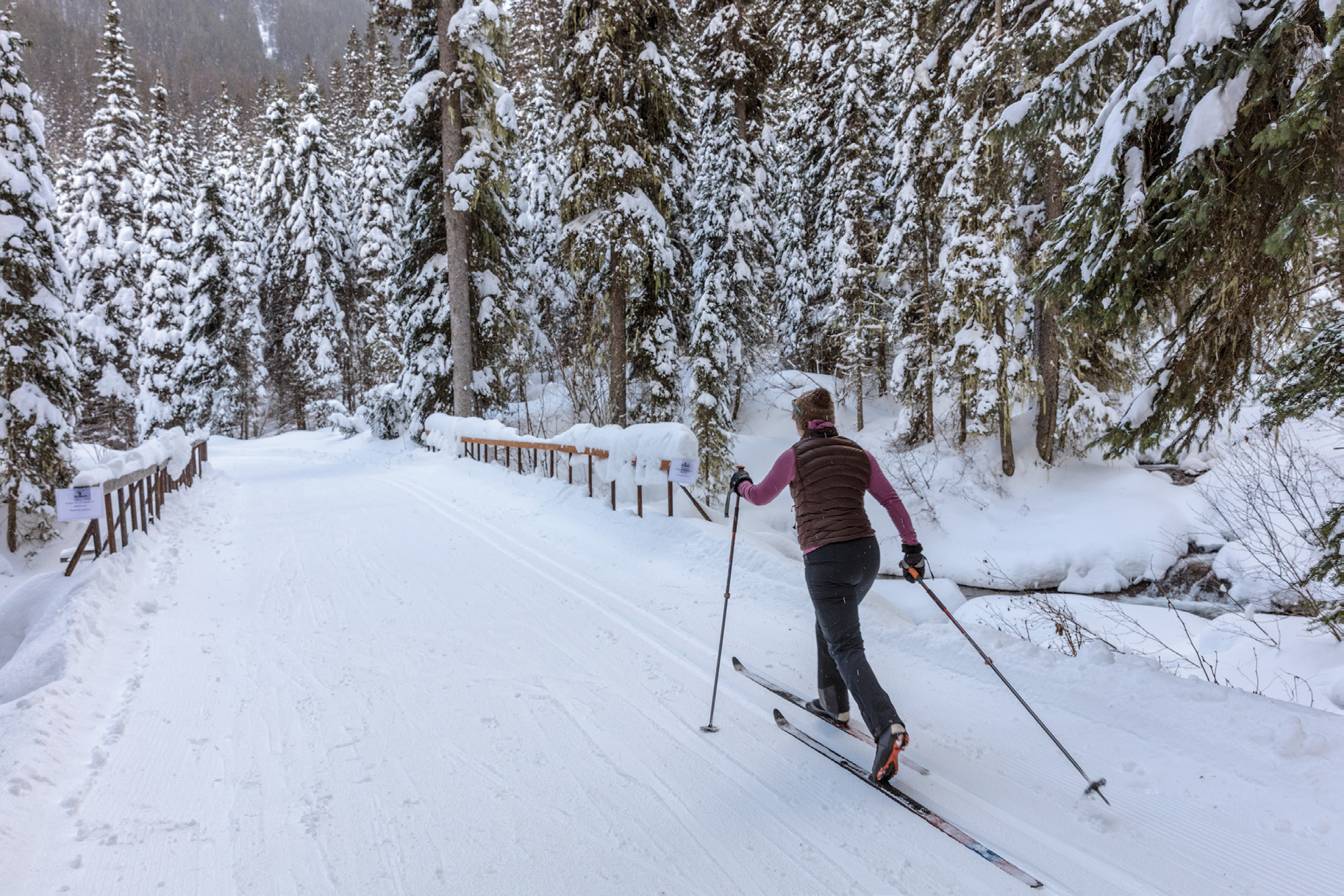 Rockies Winter Escape