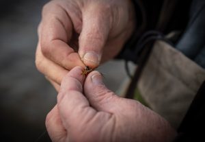 Local Knowledge: David Stuver's Familiar Waters - Big Sky Journal