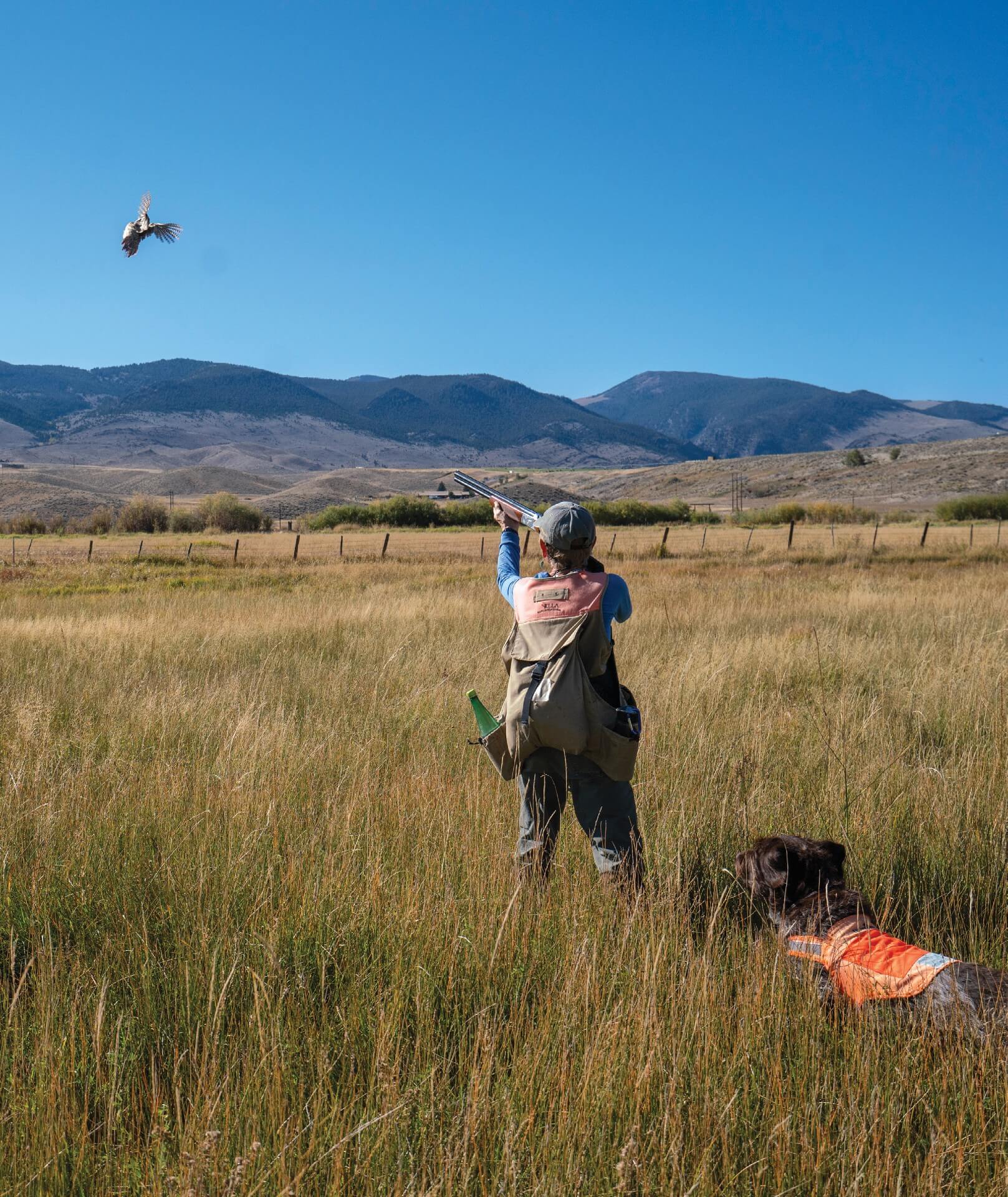 Outdoor notebook: Excellent quail hunting continues in western Oklahoma