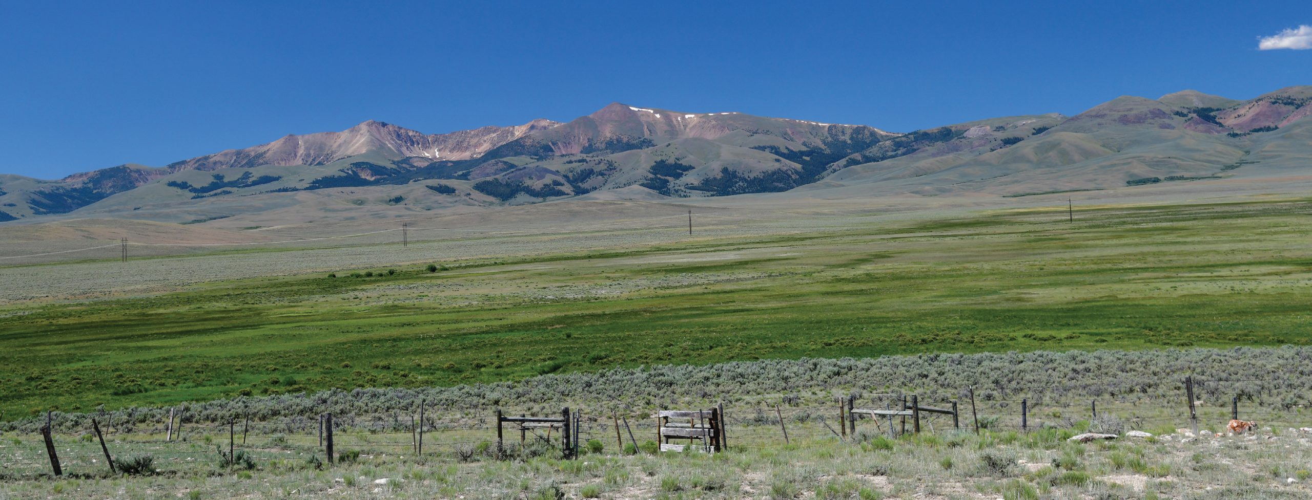 Montana -- Big Sky Country - Fly Fishing Scene: Retro Travel