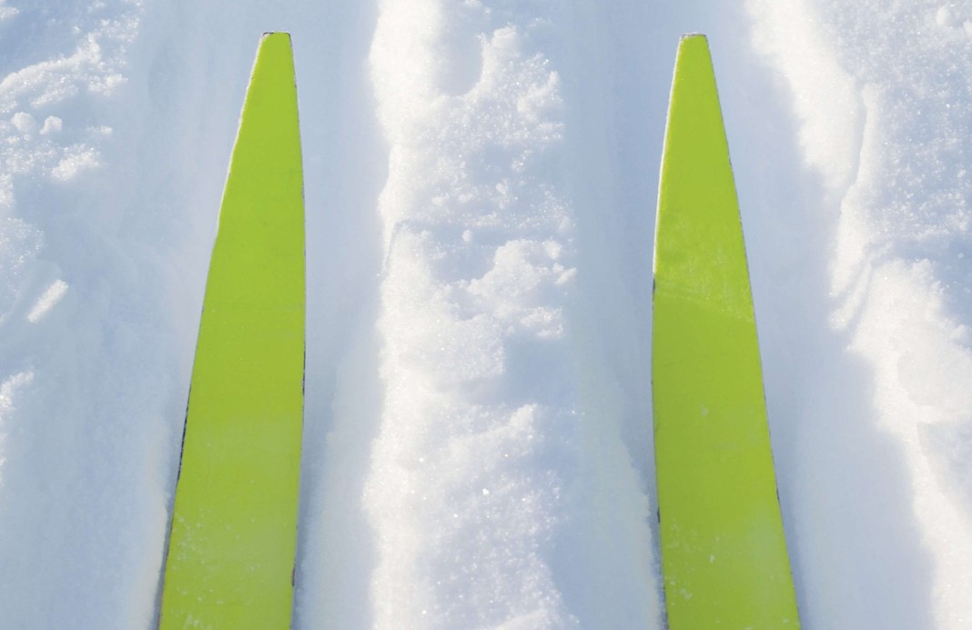 Excursion: Nordic Bound