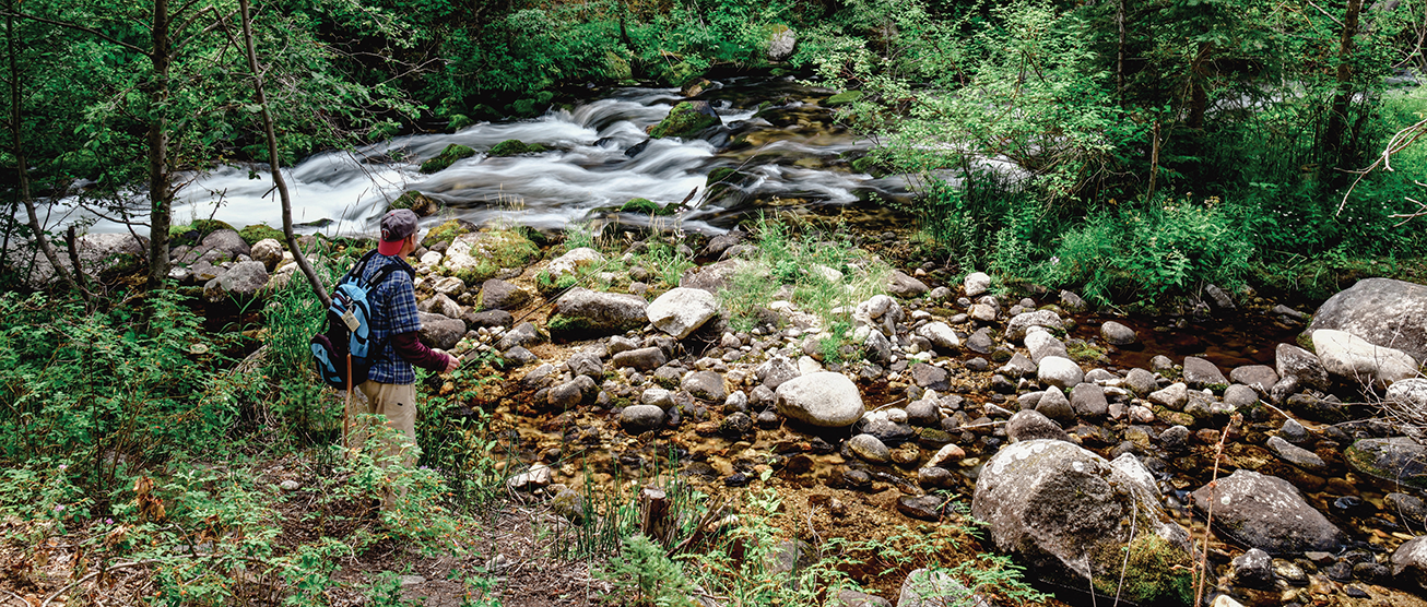 Excursion: Close Encounters on Racetrack Creek