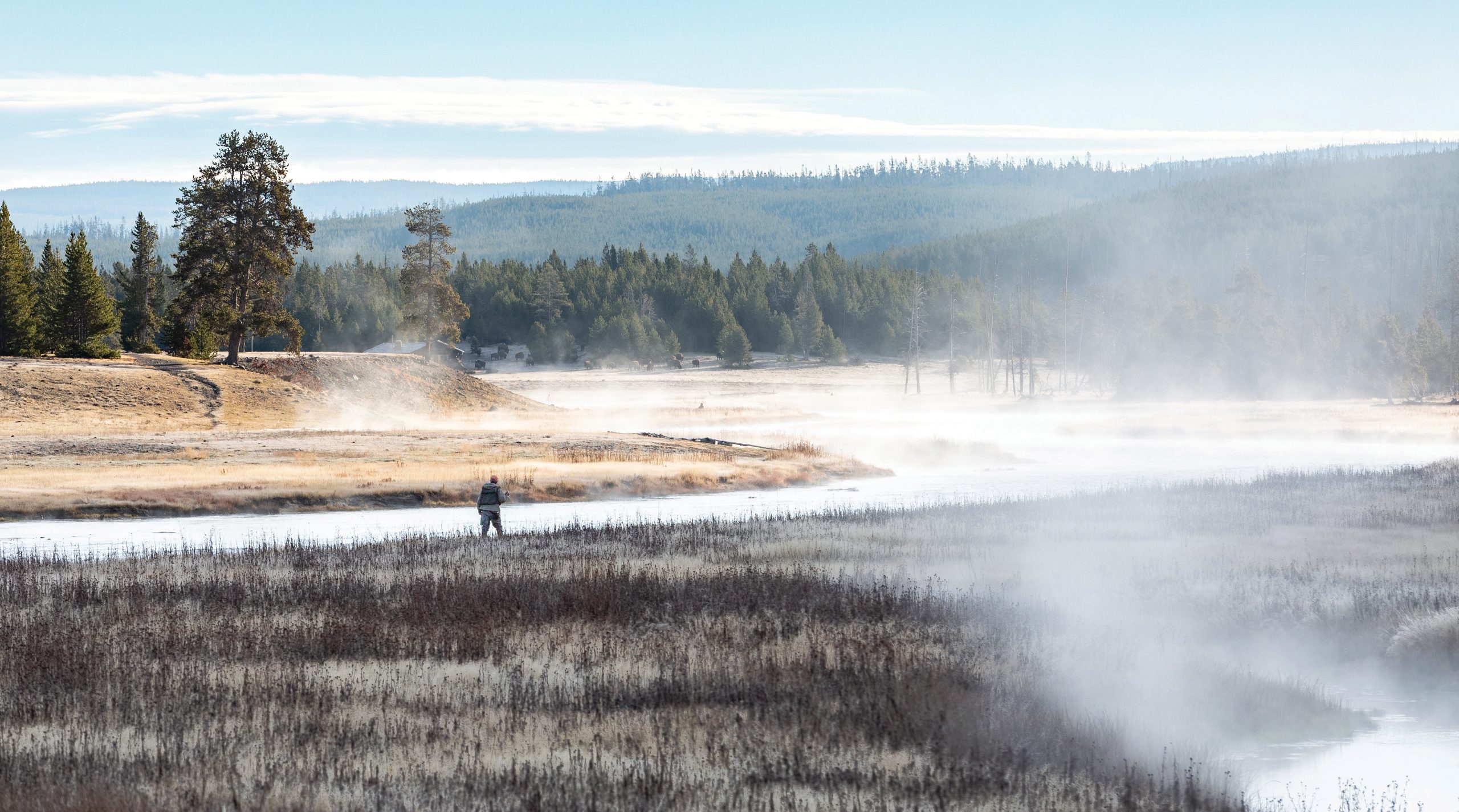 The Happiest  New year