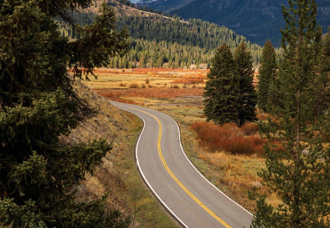 Yellowstone’s Greatest Art