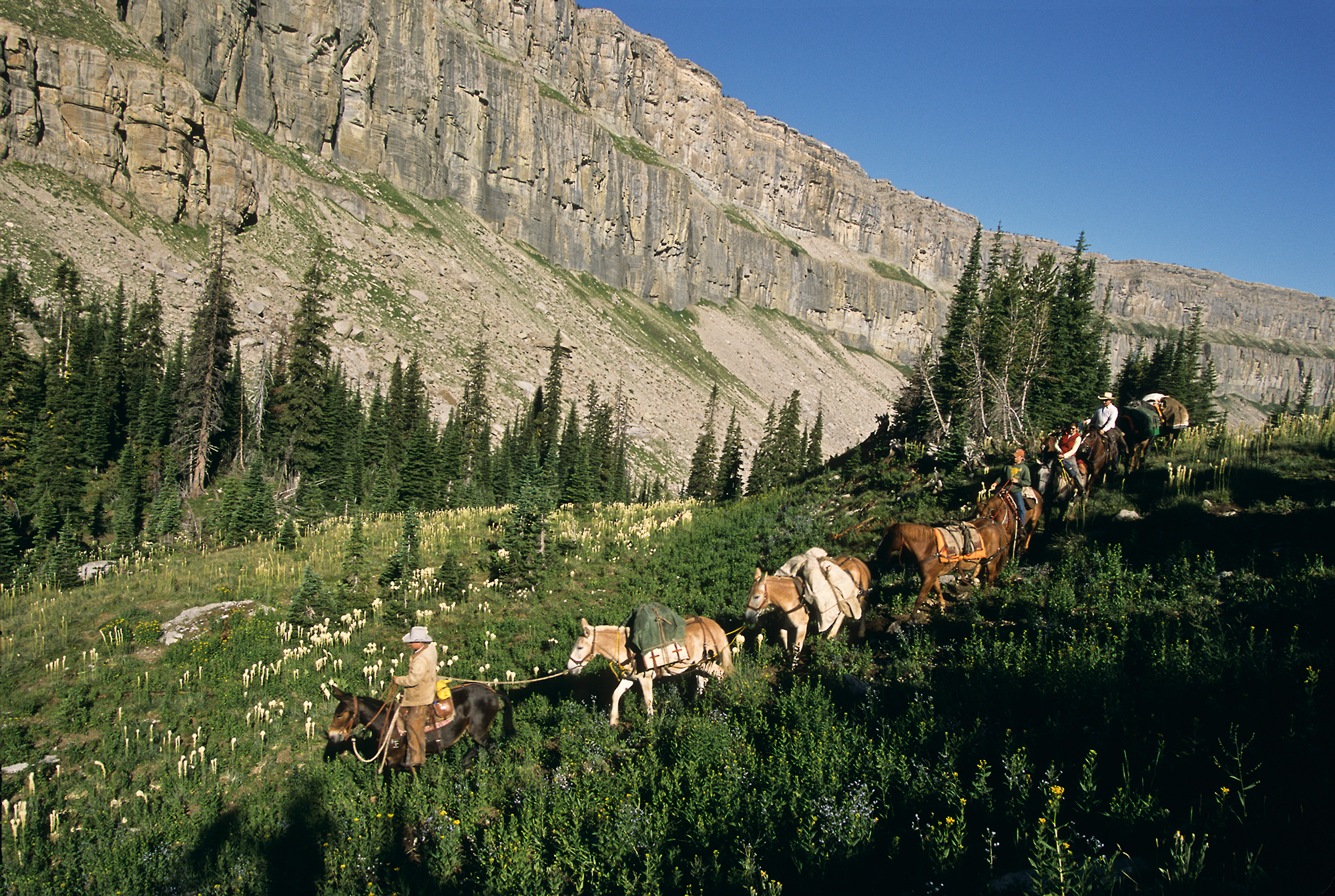 How to Hike the Top of the Chinese Wall in the Bob Marshall Wilderness -  Two Fish Traveling