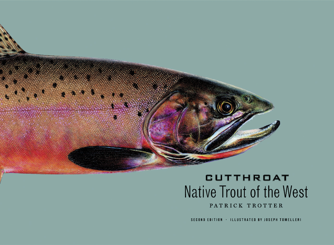 Books: Writing the West (Fly Fishing 2009) - Big Sky Journal